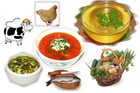 Бульоны, супы, щи и борщи витаминные